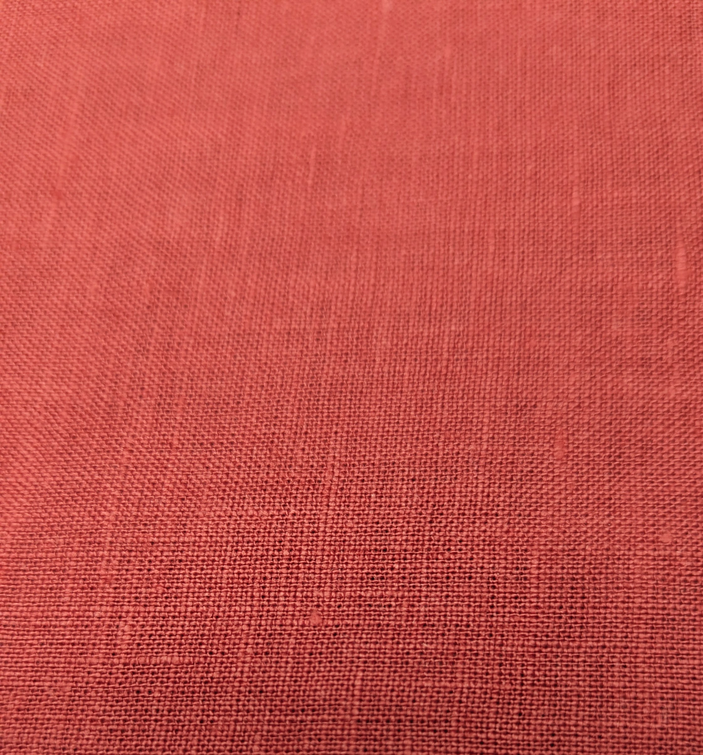 Cinamon Rose