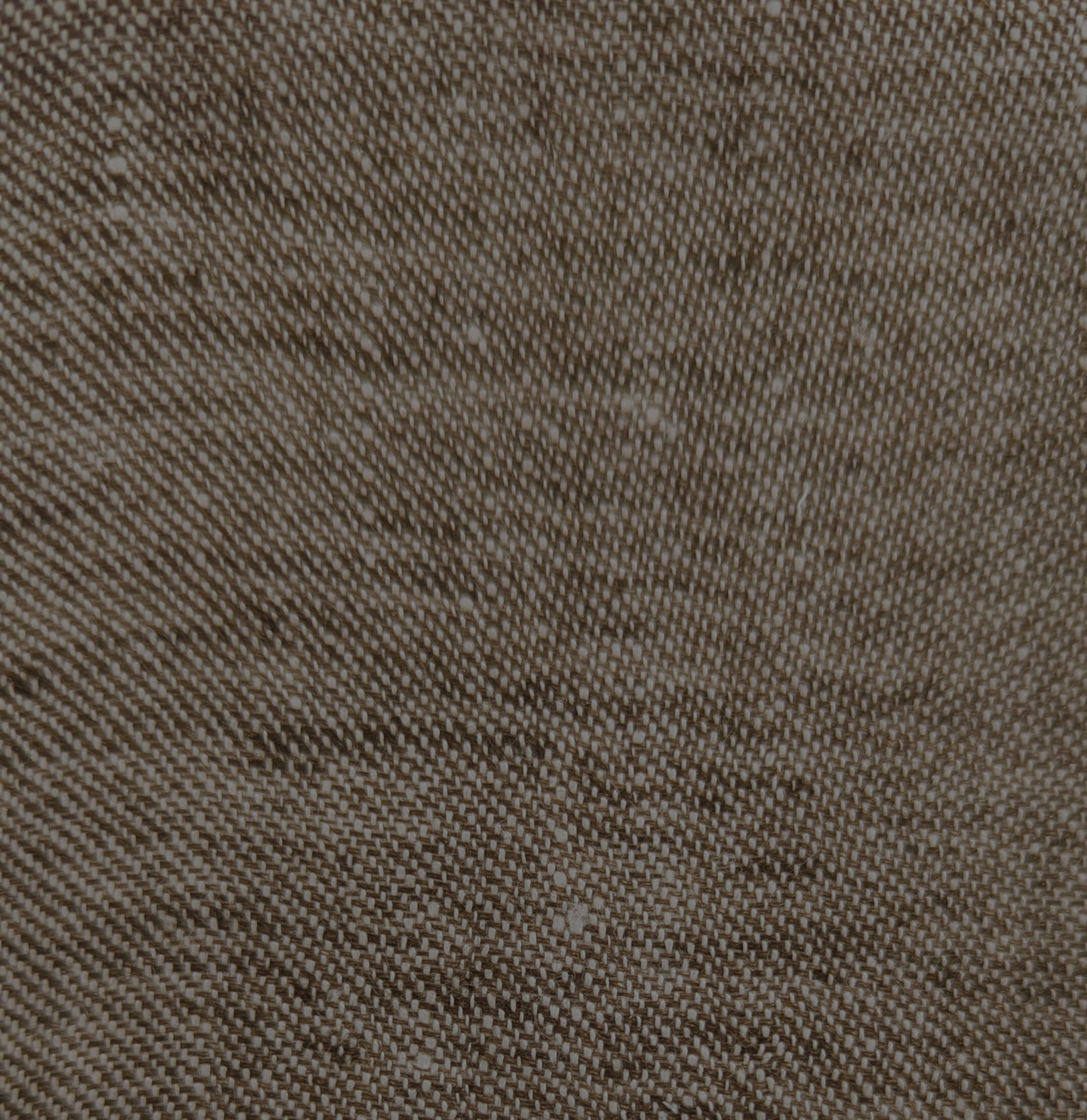 Raw Umber