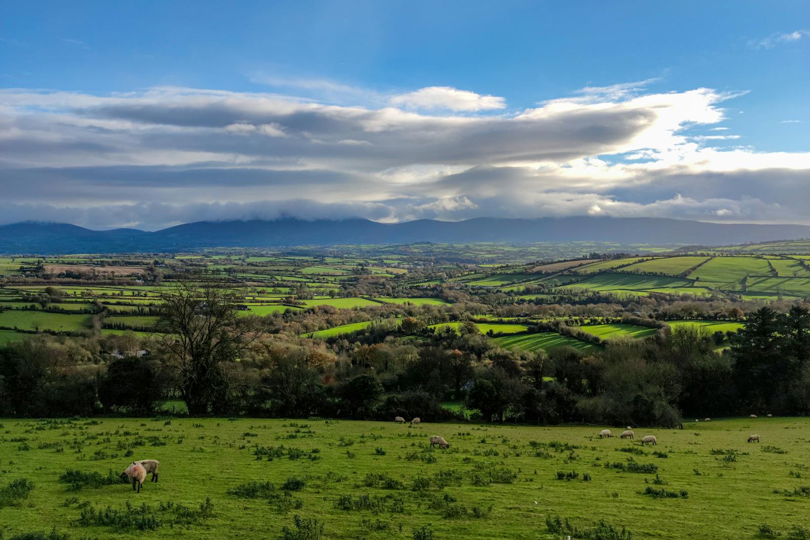 The County Down countryside near Banbridge